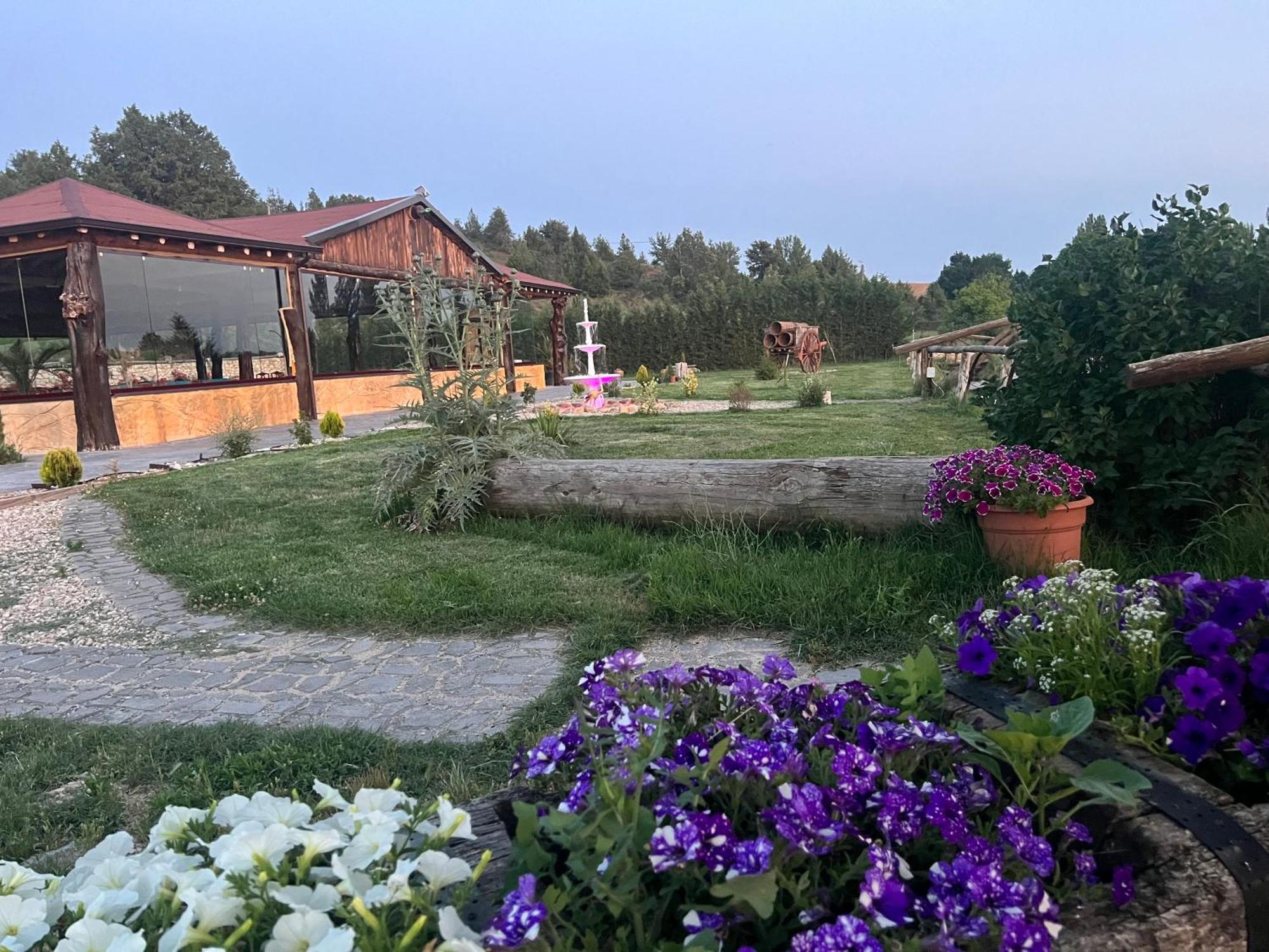 El Burgo De Osma Alojamiento Rural Villa Bagh Luaran gambar
