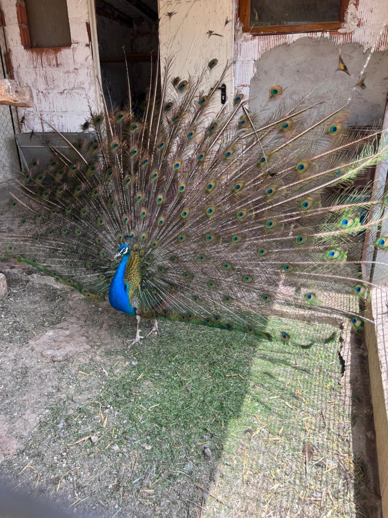 El Burgo De Osma Alojamiento Rural Villa Bagh Luaran gambar