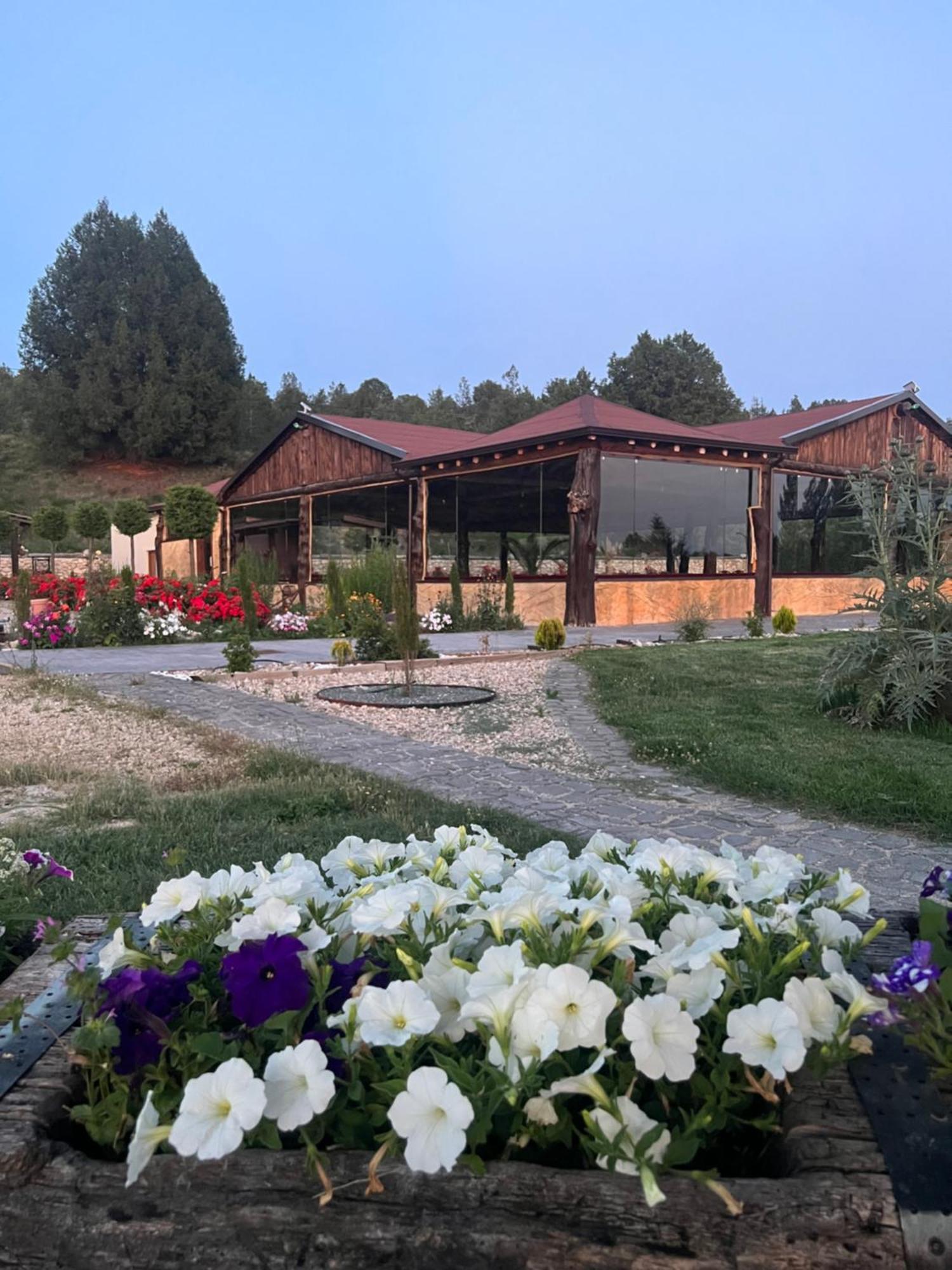 El Burgo De Osma Alojamiento Rural Villa Bagh Luaran gambar